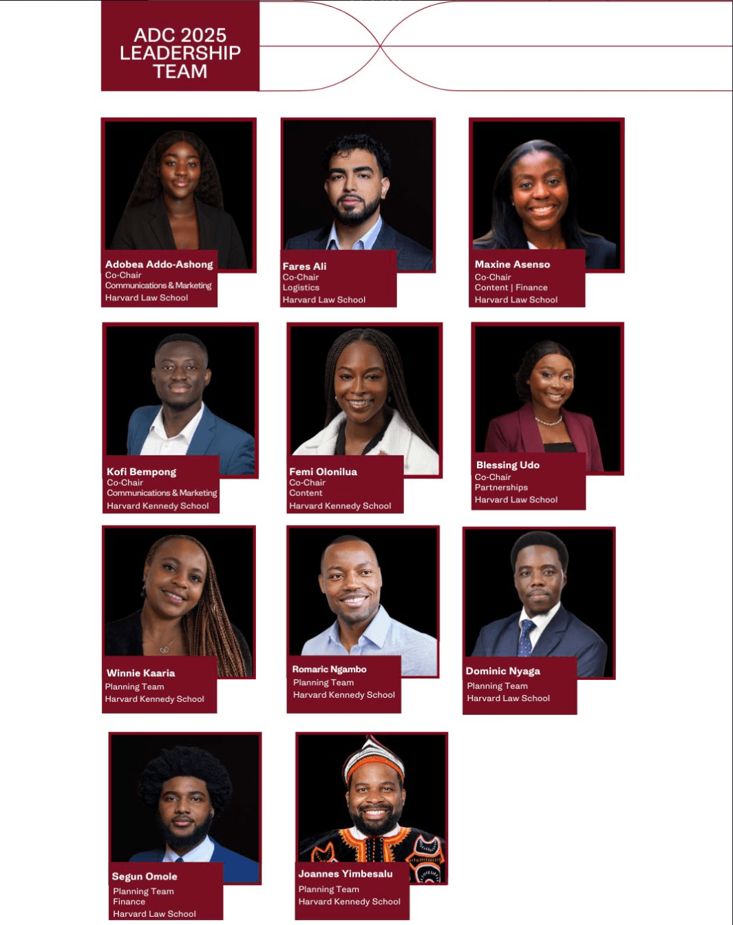 Leadership Committee Member, Africa by 2040: The Future of Africa's Youth